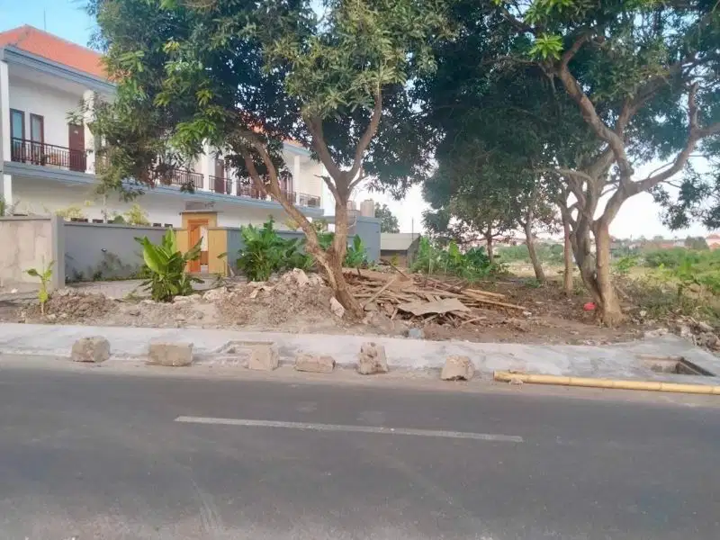 Tanah Subak Canggu Badung