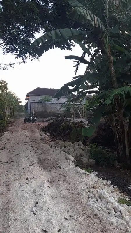 dijual cepat tanah nusa dua