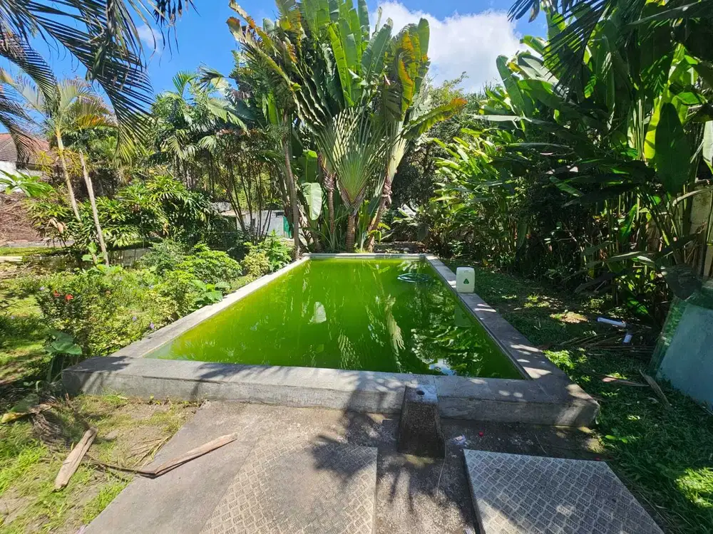 disewakan tanah premium canggu