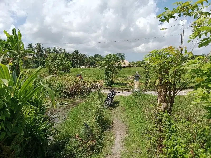 DIJUAL TANAH DI UBUD LINGKUNGAN VILLA CLUSTER