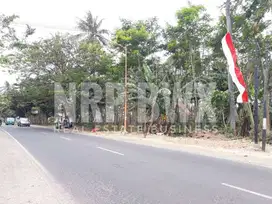 Dijual Tanah Kering di Tepi Jalan Gatot Subroto, Ketapang - Banyuwangi