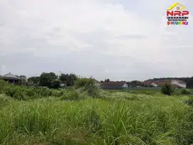 Dijual Tanah Prospek di Belakang Stadion Diponegoro Banyuwangi