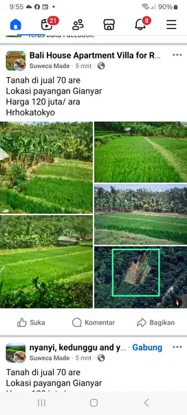 Tanah termurah di Desa Payangan Ubud BUC
