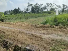jual cepat tanah luas 557m2 dibarat jl palagan km 15 view sawah