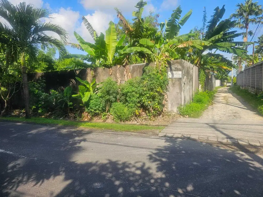 dijual tanah komersil kayutulang canggu