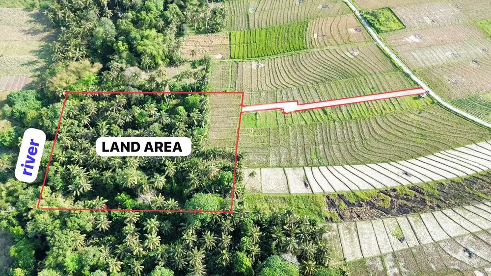 dijual tanah komersil.dekat pantai beraban selemadeg timur