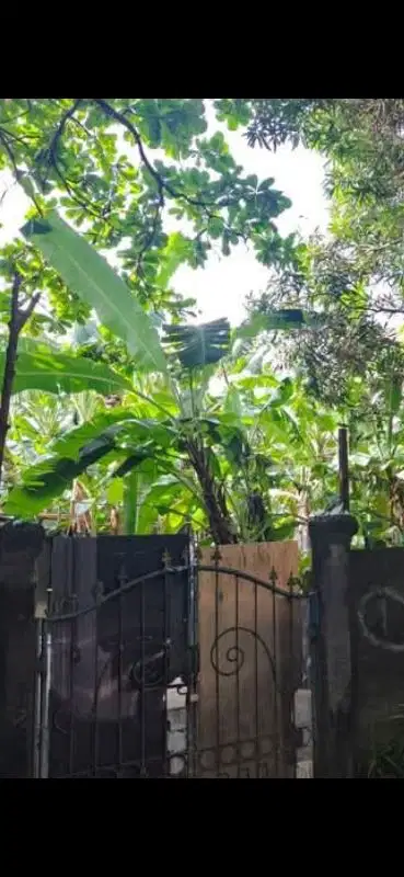 Di jual tanah jalan Ciung Wanara, Denpasar, Bali