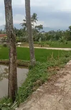 Tanah  kolam ikan view bagus Akses masuk mobil