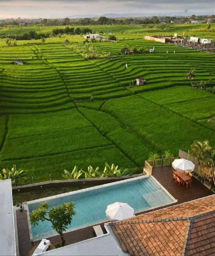 3 Bedrooms villa nia oxl freehold for sale in canggu babakan