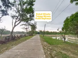 Jual tanah murah subur di Telaga Mriwis Putih Bejiharjo Gunung Kidul