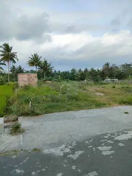 Promo Kemerdekaan!Jual Tanah Murah Mangku Jalan Aspal di Utara Dengung