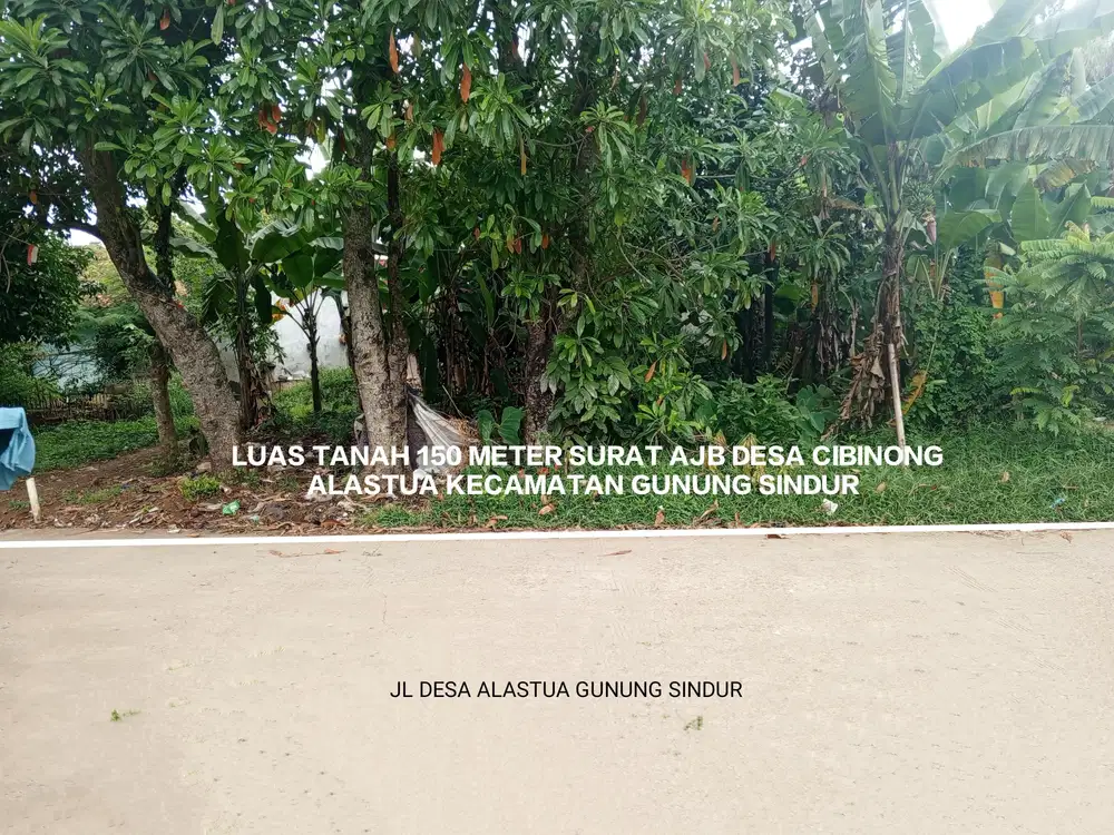 TANAH MURAH DAN STRATEGIS DI DESA CIBINONG GUNUNG SINDUR BOGOR