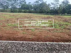 TANAH KEBUN MURAH DAN STRATEGIS DI CIBEUTEUNG UDIK KECAMATAN CISEENG