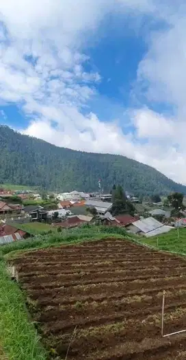 Tanah Kemuning 395Mt, Ld 14Mt, telaga Madirda, Ngargoyoso,Karang anya