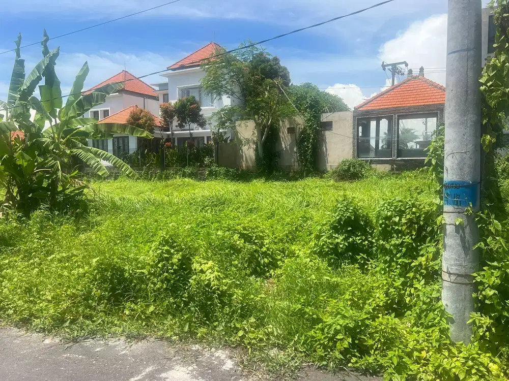 Dijual tanah komersil lokasi cemagi