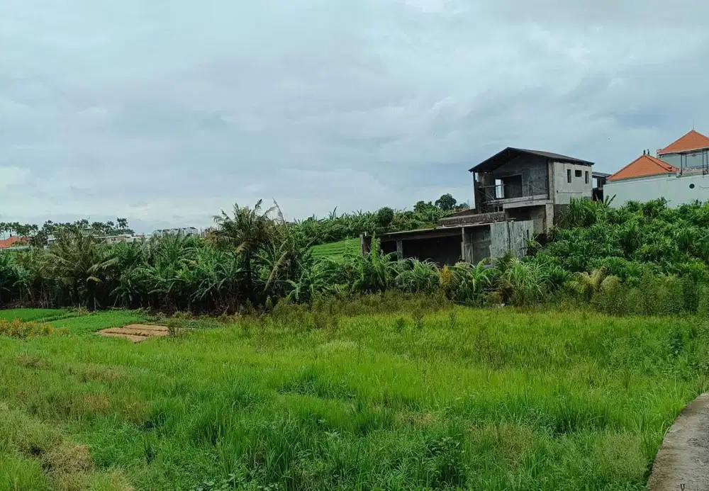 dijual tanah komersil lingkungan villa lokasi pererenan