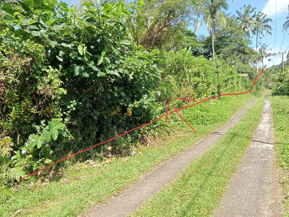 Dijual tanah kebun produktif los sungai murah