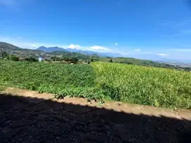 Sawah masuk mobil view bagus 90 tumbak, cimanggung