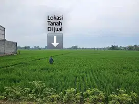 B.U  tanah sawah dekat jalan raya di jual murah