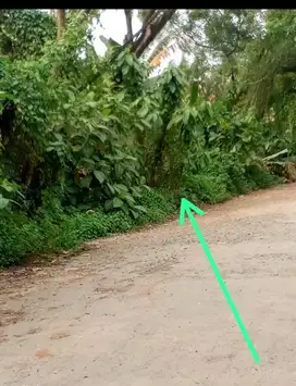 di jual tanah di dalam kawasan industri di kelapa nunggal bogor