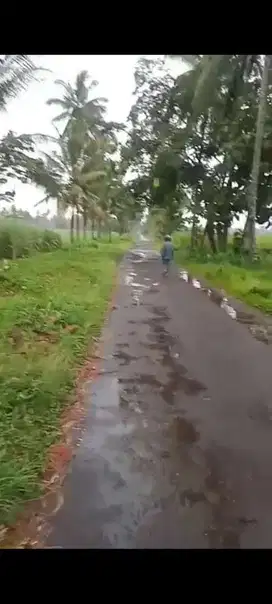 Di jual tanah lokasi krebet Malang