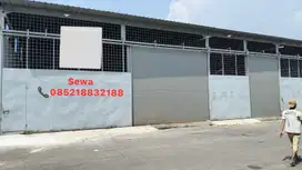 DISEWAKAN PERGUDANGAN DAAN MOGOT PRIMA KM 12.8