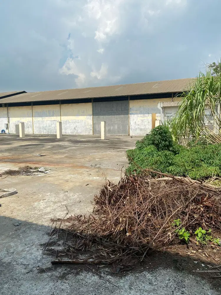 SEWA GUDANG HITUNG TANAH DI KAPUK KAMAL