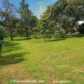 Dijual Murah Tanah Daerah Sm Raja Km. 10 Sudah Ada Tanaman Buah
