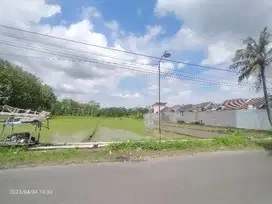 Dijual Tanah Sawah Timur Stadion Maguwoharjo