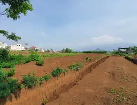 Tanah Residensial Dau Malang Dekat UIN Kedokteran Cocok Untuk Hunian