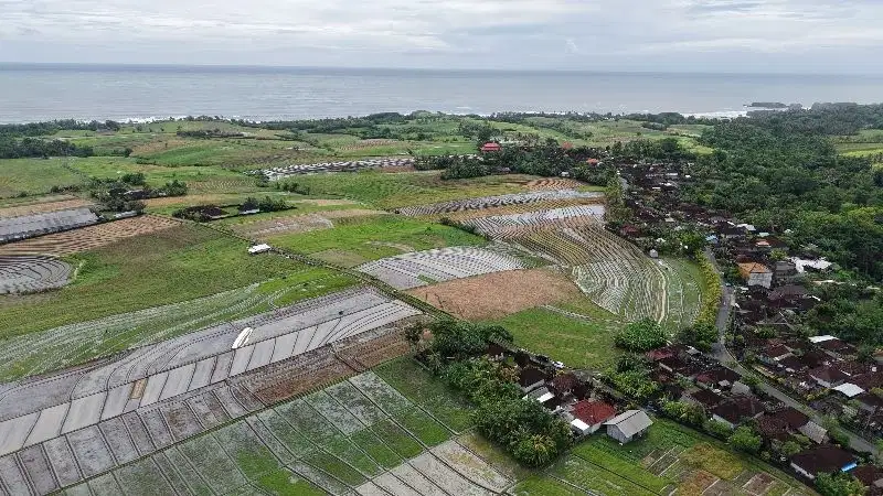 Tanah Tabanan Tegal Mangkeb Pemandangan Sawah
