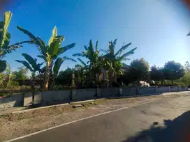 Dijual Tanah pekarangan Cangkol mojolaban, Sukoharjo,Jawa tengah|802m