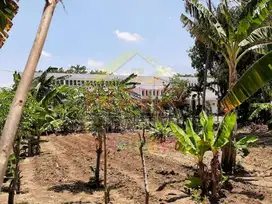 Dijual Tanah Strategis di Depan Stasiun Kreta Api Banyuwangi Baru