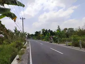 DIJUAL TANAH VIEW SAWAH AREA NGEMPLAK WEDOMARTANI
