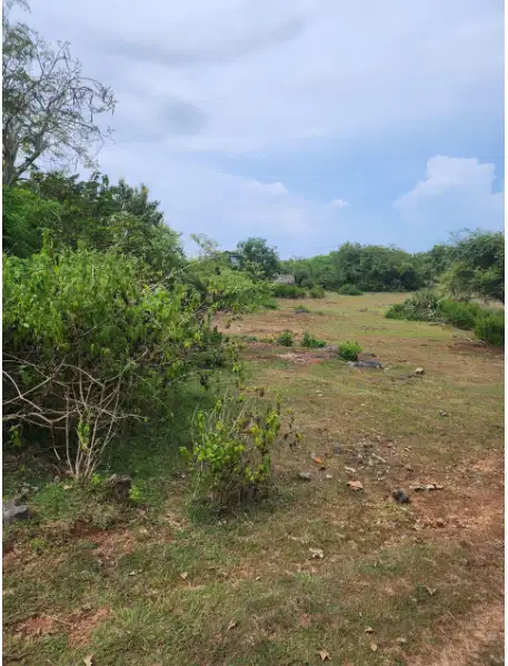 Tanah 8 Are di Kutuh