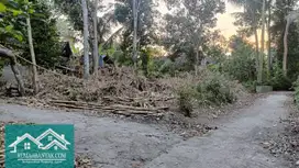 Jual Tanah Murah Di Seyegan, Cocok Untuk Hunian & Kavlingan