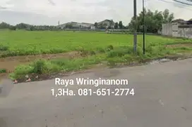 Tanah di Raya Wringinanon Gresik