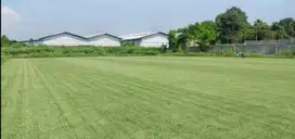 Dijual Murah Tanah Sewan Neglasari  Tangerang