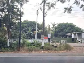 LELANG PABRIK + GUDANG 3,8 Hektar DI JALAN RAYA PURWOSARI-PASURUAN