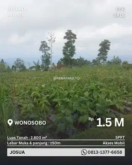 Tanah Dijual Wonosobo, Seluas 2.800 m²