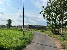 100 Meter Warung Watoe Gadjah, Tanah Shm Pekarangan