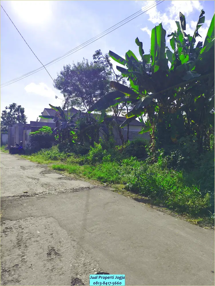 Jual Murah Tanah Pekarangan Selatan Kampus UII JOGJA luas 229 meter