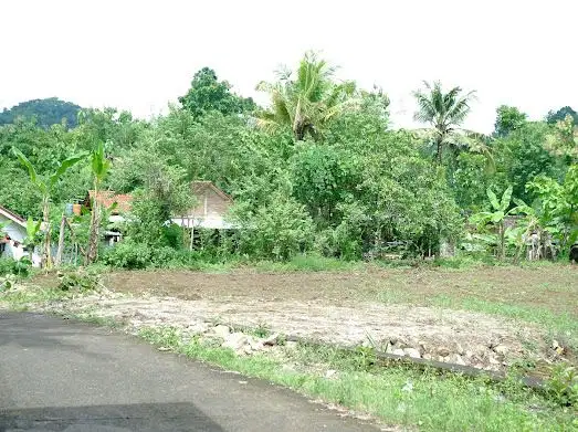 Tanah Imogiri dijual murah 100 jutaan , SHM P dalam cluster
