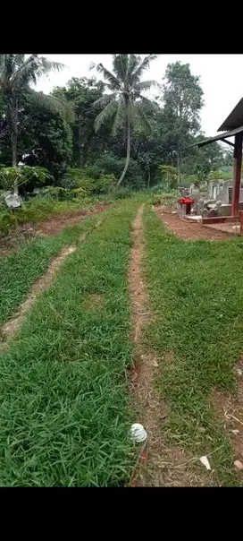 dijual tanah utk pemakaman  di gunung sindur