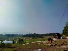 Harmoni farmhouse Bogor Kavling Villa Kayu Estetik dan Kebun Anggur