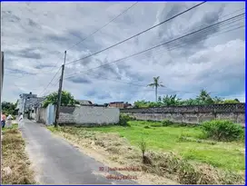 TANAH JAMBON TRIHANGGO TEPI ASPAL VIEW SAWAH ,SHM P aman