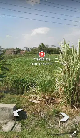 Dijual lahan zona kuning luas  5.800 lokasi kudu baki sukoharjo