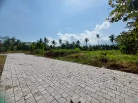 Tanah Murah jogja dekat Bandara YIA kulonprogo
