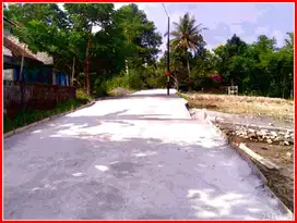 Tanah Murah Dekat Kampus UMY di Gamping Sleman
