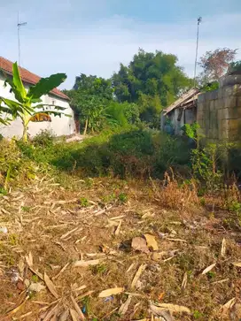 Jual murah tanah siap bangun di Kauman Ngoro Jombang